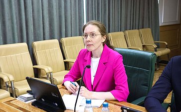 Совещание Комитета Совета Федерации по федеративному устройству, региональной политике, МСУ и делам Северана тему «Газификация и ее производные: газохимия и нефтехимия как драйвер роста экономики Дальневосточного федерального округа»