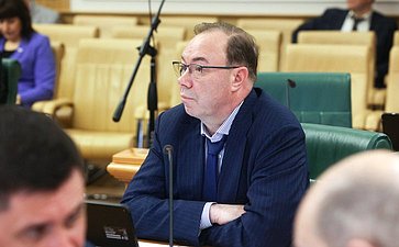 Заседание Комитета Совета Федерации по бюджету и финансовым рынкам