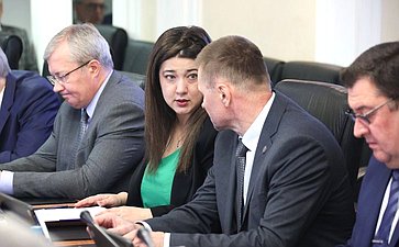 Заседание Комитета Совета Федерации по Регламенту и организации парламентской деятельности