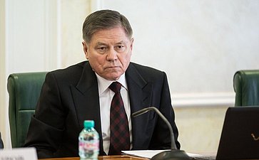 В. Лебедев Заседание Комитета Совета Федерации по конституционному законодательству и государственному строительству