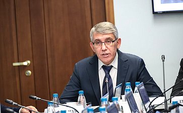Расширенное заседание Комитета СФ по социальной политике (в рамках дней Тульской области в Совете Федерации)