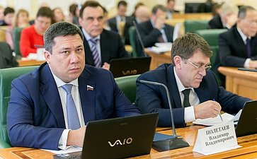 В. Полетаев на заседании Комитета Совета Федерации по бюджету и финансовым рынкам