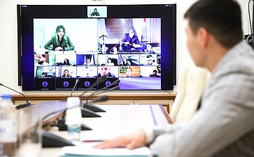 Заседание Совета Палаты молодых законодателей при Совете Федерации