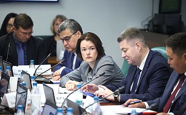 Заседание Комитета Совета Федерации по социальной политике