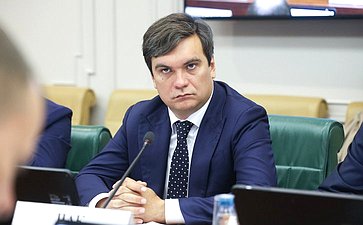 Заседание Совета по вопросам газификации субъектов Российской Федерации при Совете Федерации Федерального Собрания Российской Федерации