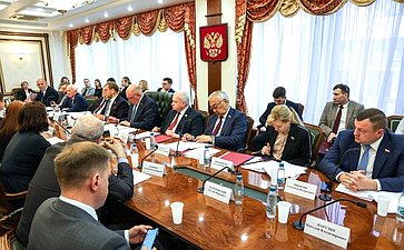 Заседание Комитета Совета Федерации по международным делам
