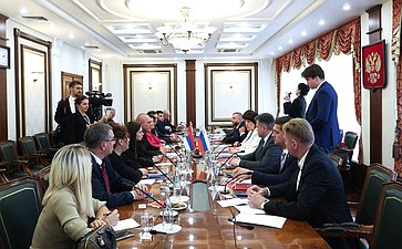 Встреча сенаторов с делегацией Народной скупщины Республики Сербии, членами фракции партии «Единая Сербия» и группы по сотрудничеству Народной скупщиной Республики Сербии с Советом Федерации
