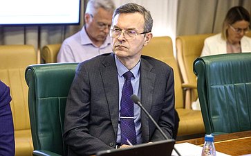Заседание Комитета СФ по международным делам