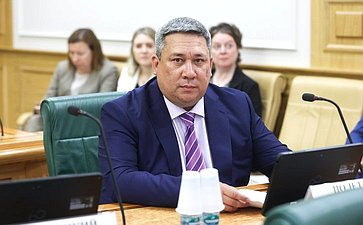 Заседание Комитета Совета Федерации по конституционному законодательству и государственному строительству
