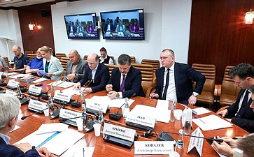 Заседание секции «Цифровая промышленность» Совета по развитию цифровой экономики при СФ «Распространение Российских цифровых платформ и продуктов»