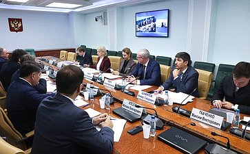 Круглый стол Комитета Совета Федерации по региональной политике, МСУ и делам Севера на тему «Актуальные вопросы реализации федерального проекта «Инфраструктурное меню»