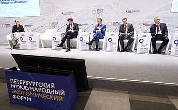 XXVIII Петербургский международный экономический форум (ПМЭФ’25). «Программа долгосрочных сбережений – драйвер развития российской экономики и улучшения благосостояния граждан»