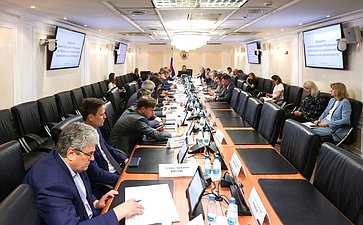 Заседание Комитета Совета Федерации по Регламенту и организации парламентской деятельности