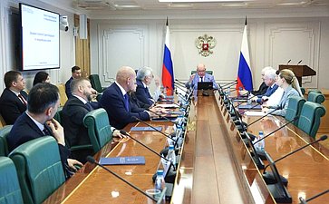 Заседание Комитета Совета Федерации по международным делам