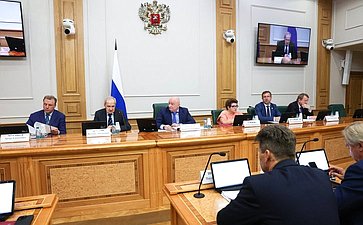 Заседание Комитета Совета Федерации по конституционному законодательству и государственному строительству