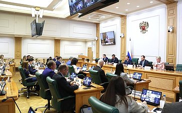 Совещание Комитета Совета Федерации по федеративному устройству, региональной политике, МСУ и делам Северана тему «Газификация и ее производные: газохимия и нефтехимия как драйвер роста экономики Дальневосточного федерального округа»
