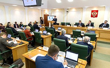 В СФ состоялось заседание Комитета по бюджету и финансовым рынкам с участием представителей Тульской области