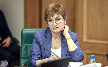 Заседание Комитета Совета Федерации по бюджету и финансовым рынкам