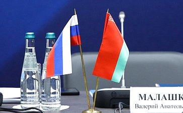 Председатель Комитета СФ по социальной политике Елена Перминова приняла участие в состоявшемся в Москве заседании Комиссии Парламентского Собрания по здравоохранению