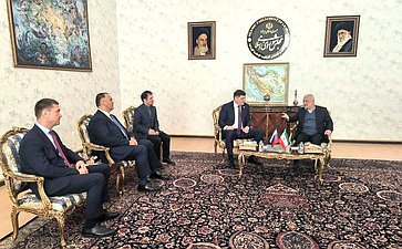 Встреча делегации Совета Федерации с председателем Комиссии по национальной безопасности и внешней политике Парламента ИРИ Вахидом Джалалзаде