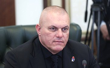 Встреча сенаторов с делегацией Народной скупщины Республики Сербии, членами фракции партии «Единая Сербия» и группы по сотрудничеству Народной скупщиной Республики Сербии с Советом Федерации