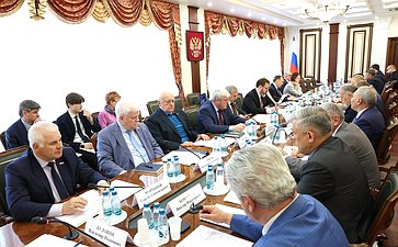 Заседание Комитета Совета Федерации по обороне и безопасности