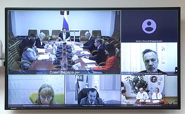 Круглый стол Комитета Совета Федерации по социальной политике «Актуальные вопросы реализации в субъектах Российской Федерации национального проекта «Продолжительная и активная жизнь»»
