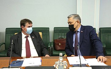 Встреча первого заместителя председателя Комитета СФ по международным делам Владимира Джабарова с депутатом Кнессета Государства Израиль, руководителем группы дружбы «Израиль-Россия» Владимиром Белиаком