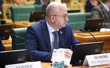 Расширенное заседание Комитета СФ по конституционному законодательству и государственному строительству (в рамках Дней Волгоградской области в Совете Федерации)