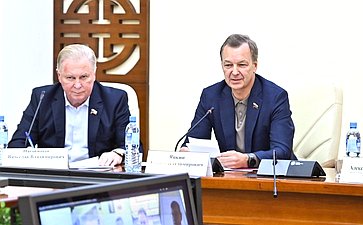 Сенаторы приняли участие в заседании Межведомственного координационного штаба по вопросам развития рынка шерсти на территории Российской Федерации