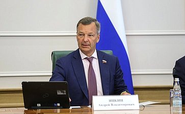 Первый заместитель Председателя Совета Федерации Андрей Яцкин
