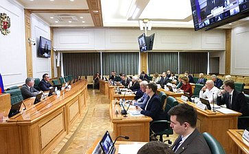 Заседание экспертно-консультативного совета при Комитете Совета Федерации по конституционному законодательству и государственному строительству