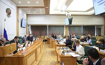 Заседание Комитета Совета Федерации по бюджету и финансовым рынкам