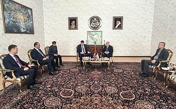 Встреча делегации Совета Федерации с председателем Комиссии по национальной безопасности и внешней политике Парламента ИРИ Вахидом Джалалзаде