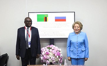 Встреча Председателя Совета Федерации Валентины Матвиенко и Председателя Национальной ассамблеи Республики Замбии