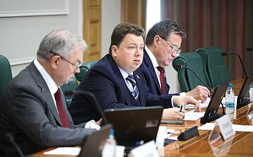 Заседание Комитета Совета Федерации по бюджету и финансовым рынкам