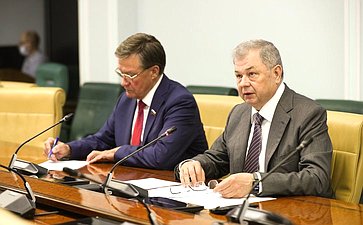 Совещание Комитета Совета Федерации по бюджету и финансовым рынкам