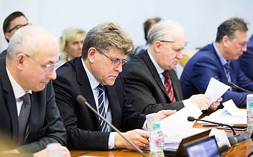 Представители власти Челябинской области на заседании Комитета СФ по науке, образованию и культуре