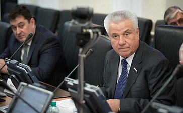 В. Сондыков на заседании Комитета Совета Федерации по Регламенту и организации парламентской деятельности
