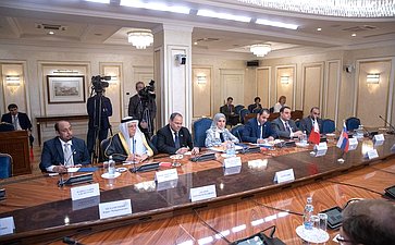Встреча В. Матвиенко с Председателем Палаты депутатов Национального собрания Королевства Бахрейн Фаузией Абдалла Зейнал