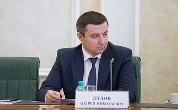 Пудов Андрей Николаевич
