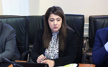 Заседание Комитета Совета Федерации по Регламенту и организации парламентской деятельности