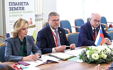 Встреча заместителя Председателя СФ Константина Косачева с заместителем Председателя Национального Народного Собрания Алжирской Народной Демократической Республики. XI Невский международный экологический конгресс