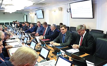 Заседание Комитета Совета Федерации по Регламенту и организации парламентской деятельности