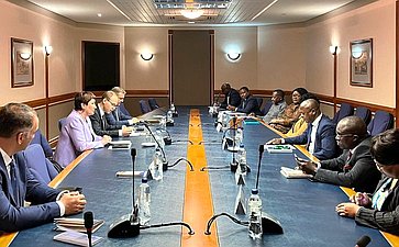 Делегация Совета Федерации во главе с Еленой Перминовой в ходе визита в Намибию была принята Председателем Национального Собрания Намибии Питером Качавиви