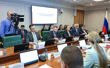 Заседание Комитета Совета Федерации по международным делам