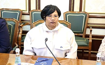 Елена Перминова встретилась с членом Постоянного комитета по вопросам государственной бюджетной отчетности и экономики Национального совета Намибии Абнером Шиконго