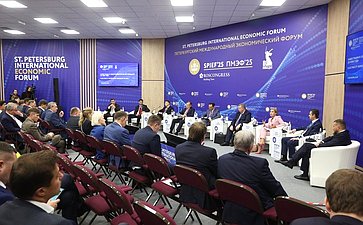 XXVIII Петербургский международный экономический форум (ПМЭФ’25). «Инвестиции в электроэнергетике на горизонте до 2050 года»