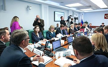 Расширенное заседание Комитета СФ по социальной политике (в рамках дней Тульской области в Совете Федерации)