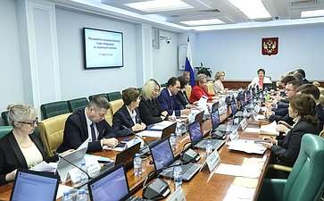 Расширенное заседание Комитета СФ по социальной политике «Актуальные вопросы реализации социальной политики в Хабаровском крае»